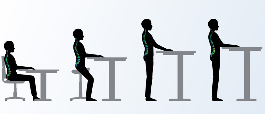 Graphical progression of spine position from siting to standing