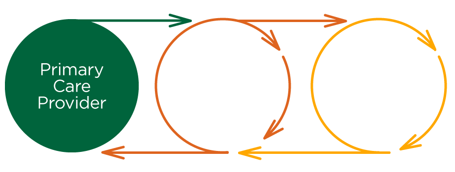 Circles showing flow of services from Primary Care provider to Cardiology Consult to Treatments and Procedures