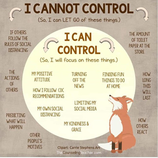 Chart of things you can and cannot control
