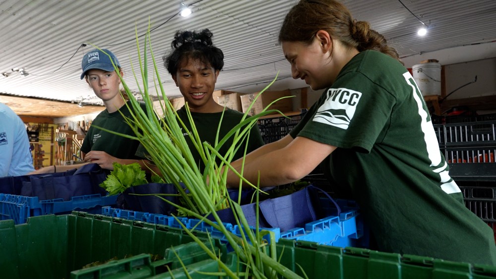 VYCC staff organizing farm produce