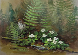 Watercolor of ferns and flowers by by Susan Bull Riley
